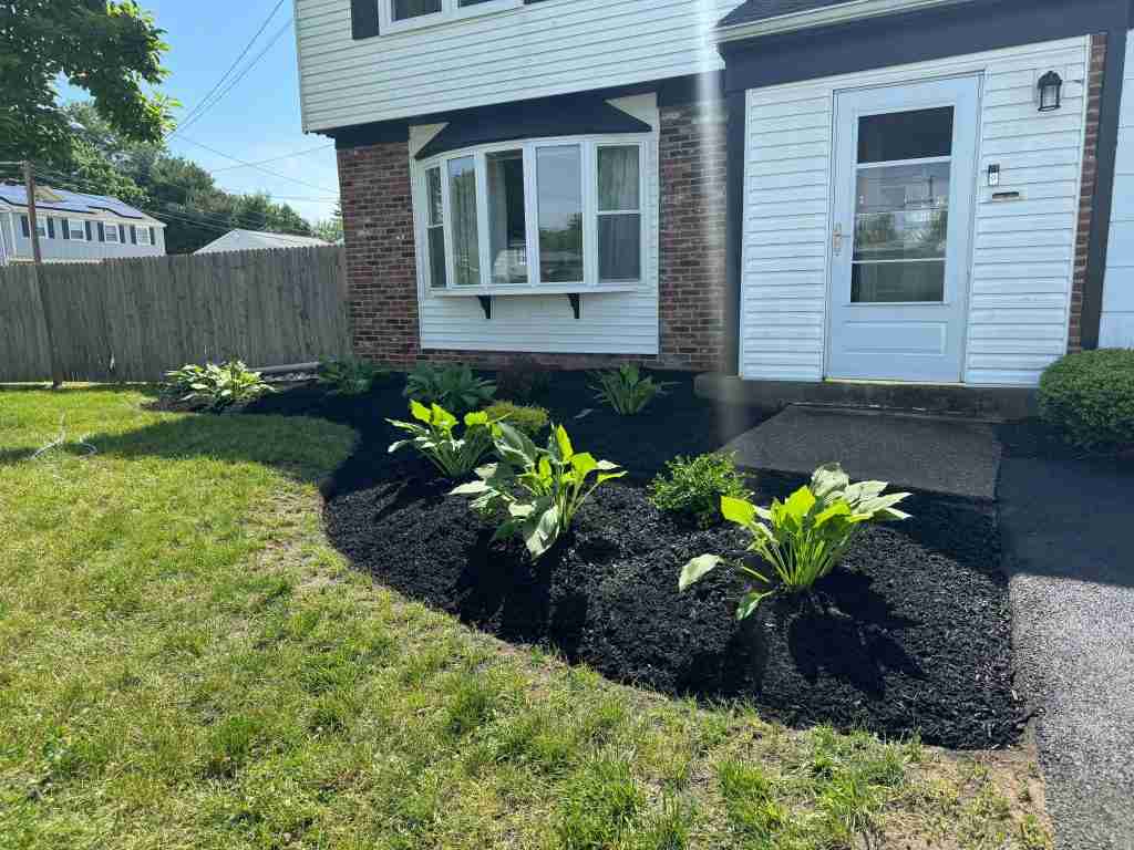 About Our Arborist Near Providing Expert Tree Care