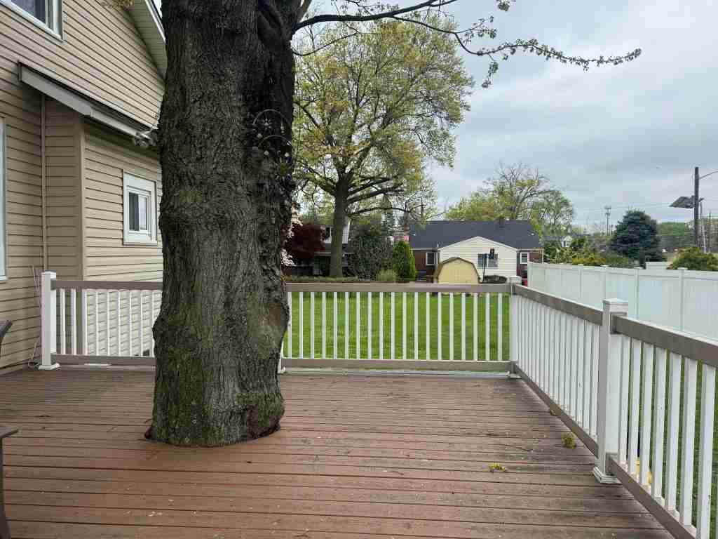 Residential Tree Services Burlington Safe Tree Removal And Cleanup For Residential Yard Areas