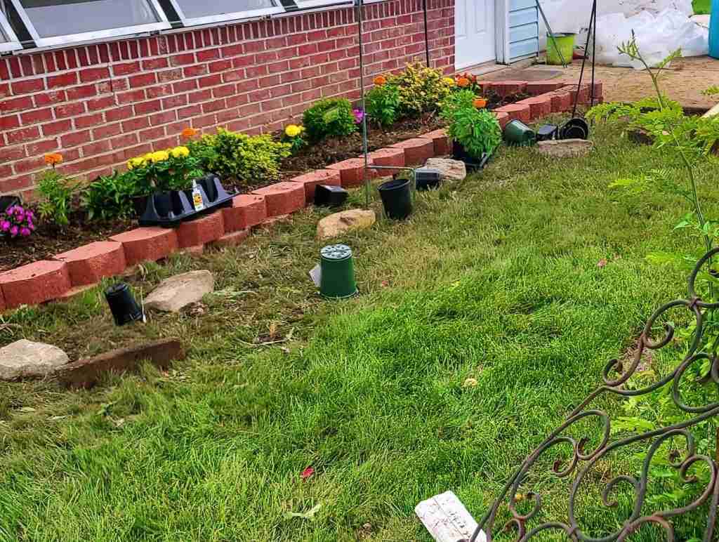 Tree Removal Mount Holly NJ Safe Cleanup And Yard Restoration For Residential Properties